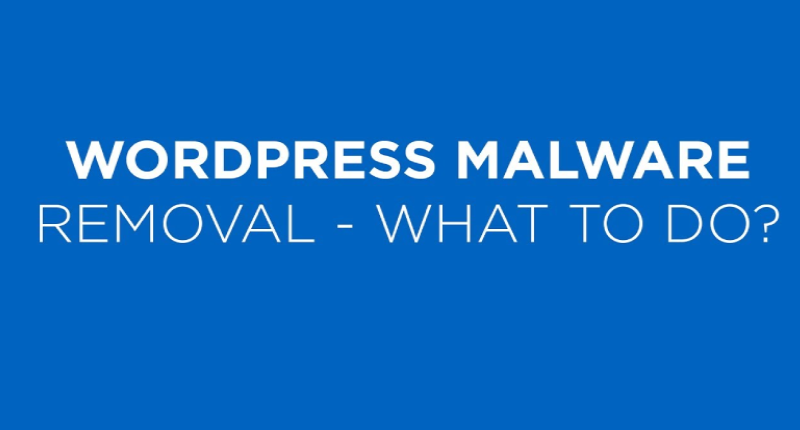 Prevent Wordpress Malware
