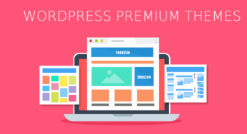 Premium WordPress Themes – What Makes Theme Premium